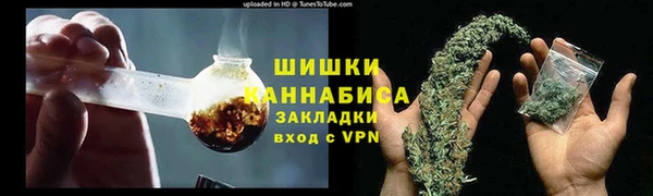 ГАЛЛЮЦИНОГЕННЫЕ ГРИБЫ Бородино